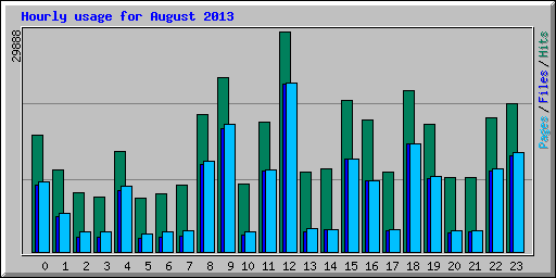 Hourly usage for August 2013